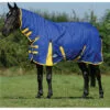 2022 Weatherbeeta Comfitec Classic Combo Neck Medium Turnout Rug 1000423 - Blue / Lemon Colour Blue/Lemon 2 2022 Weatherbeeta Comfitec Classic Combo Neck Medium Turnout Rug 1000423 - Blue / Lemon Colour Blue/Lemon -Weatherbeeta Shop 202220Weatherbeeta20Comfitec20Classic20Combo20Neck20Medium20Rug20100042320 20Blue20Lemon201.700x700