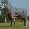 2022 Weatherbeeta Comfitec Classic Combo Neck Medium Turnout Rug 1000423 - Gunmetal / Coral Colour Gunmetal/Coral -Weatherbeeta Shop 202220Weatherbeeta20Comfitec20Classic20Combo20Neck20Medium20Rug20100042320 20Gunmetal20Coral201.700x700