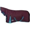 2023 Weatherbeeta Comfitec Essential Combo Neck Medium Turnout Rug 10004151 - Grape Purple / Blue Colour Blue/Grape Purple -Weatherbeeta Shop 202220Weatherbeeta20Comfitec20Essential20Combo20Neck20Medium20Rug201000415120 20Grape20Purple20Blue1.700x700