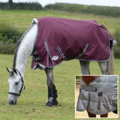 2022 Weatherbeeta Comfitec Plus Dynamic II Medium-Lite Standard Neck Rug & Liner Bundle - Maroon / Grey
