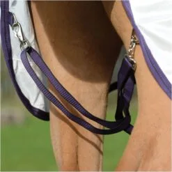 2023 Weatherbeeta Comfitec Essential Mesh II Combo Neck Fly Rug 1000441166 - White / Maroon / Grey Colour Grey/White/Maroon -Weatherbeeta Shop 202320Weatherbeeta20Comfitec20Essential20Mesh20II20Combo20Neck20100044116620 20WhiteMarron2020Grey20close203.700x700