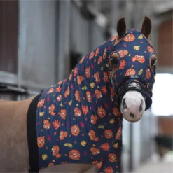 Weatherbeeta Shop 36 2023 Weatherbeeta Stretch Hood With Zip 589536 - Squirrel Print