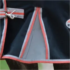 2022 Weatherbeeta Comfitec Premier & Therapy-Tec Medium Detach-A-Neck Turnout Rug - Black / Red -Weatherbeeta Shop 2217 202220Weatherbeeta20Comfitec20Premier20With20Therapy Tec20Medium20Detach A Neck20Rug20100161401020 20Black2020Silver2020Red4.700x700