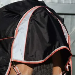 2022 Weatherbeeta Comfitec Premier & Therapy-Tec Medium Detach-A-Neck Turnout Rug - Black / Red -Weatherbeeta Shop 2217 202220Weatherbeeta20Comfitec20Premier20With20Therapy Tec20Medium20Detach A Neck20Rug20100161401020 20Black2020Silver2020Red5.700x700