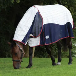Weatherbeeta Breeze With Surcingle III Combo Neck Rug - White / Navy 9 Weatherbeeta Breeze With Surcingle III Combo Neck Rug - White / Navy -Weatherbeeta Shop 30f1c45a34a32ac999f914e280bb551a 9.700x700