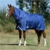 Weatherbeeta Comfitec Ultra Tough II Medium-Lite Detatch-A-Neck Rug - Blue / Charcoal -Weatherbeeta Shop 3841 1.700x700