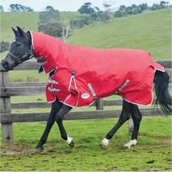 2022 Weatherbeeta Comfitec Classic Medium-Lite Combo Neck Turnout Rug - Red / Silver