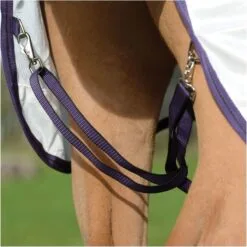 2023 Weatherbeeta Comfitec Essential Fly Rug With FREE Fly Mask WFRFM2 - Grey / White / Maroon 15 2023 Weatherbeeta Comfitec Essential Fly Rug With FREE Fly Mask WFRFM2 - Grey / White / Maroon -Weatherbeeta Shop 6371 202320Weatherbeeta20Comfitec20Essential20Mesh20II20Combo20Neck20100044116620 20WhiteMarron20Grey20close203.2000x2000.700x700