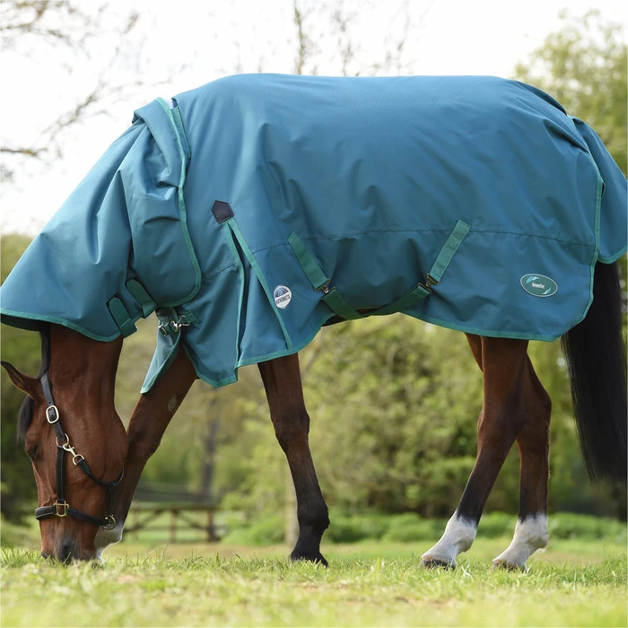 2023 Weatherbeeta Green-Tec 1200D Detach-A-Neck Lite Plus Turnout Rug - Dragonfly Blue / Bottle Green 5 2023 Weatherbeeta Green-Tec 1200D Detach-A-Neck Lite Plus Turnout Rug - Dragonfly Blue / Bottle Green - Image 3