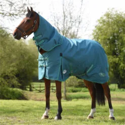 2023 Weatherbeeta Green-Tec 1200D Detach-A-Neck Lite Plus Turnout Rug - Dragonfly Blue / Bottle Green 7 2023 Weatherbeeta Green-Tec 1200D Detach-A-Neck Lite Plus Turnout Rug - Dragonfly Blue / Bottle Green -Weatherbeeta Shop 6379 202320Weatherbeeta20Green Tec201200D20Detach A Neck20Lite20Plus20Turnout20Rug20 20Dragonfly20Blue204.700x700