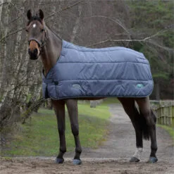 2023 Weatherbeeta Green-Tec Standard Neck Medium / Lite Stable Liner 1021797 - Grey -Weatherbeeta Shop 6381 202320Weatherbeeta20Green Tec20Standard20Neck20Medium2020Lite20Stable20Liner20102179720 20Grey20204.700x700