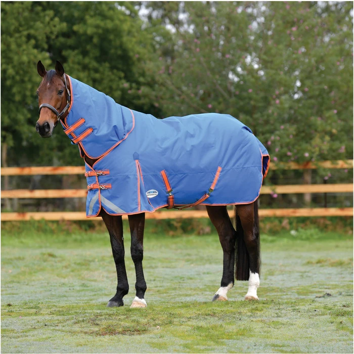 2023 Weatherbeeta Comfitec Plus Dynamic II Detach-A-Neck Medium Turnout Rug 10069170 - Royal Blue / Bright Orange Colour Royal Blue/Bright Orange 5 2023 Weatherbeeta Comfitec Plus Dynamic II Detach-A-Neck Medium Turnout Rug 10069170 - Royal Blue / Bright Orange Colour Royal Blue/Bright Orange - Image 3
