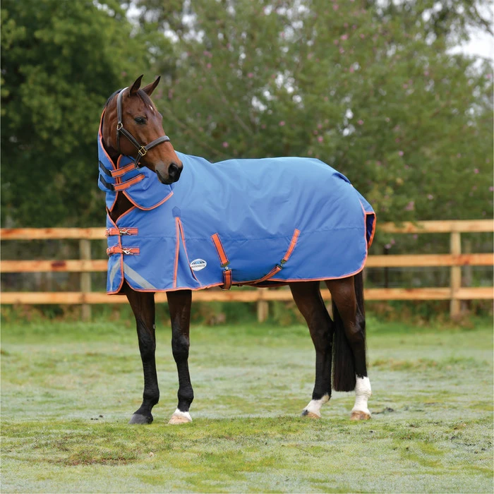 2023 Weatherbeeta Comfitec Plus Dynamic II Detach-A-Neck Medium Turnout Rug 10069170 - Royal Blue / Bright Orange Colour Royal Blue/Bright Orange 4 2023 Weatherbeeta Comfitec Plus Dynamic II Detach-A-Neck Medium Turnout Rug 10069170 - Royal Blue / Bright Orange Colour Royal Blue/Bright Orange - Image 2