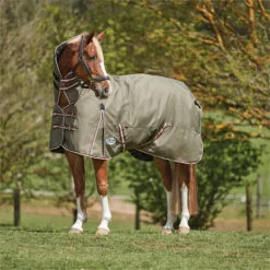 2023 Weatherbeeta Comfitec Essential Combo Neck Medium Turnout Rug 10004151 - Olive Green / Burgundy / White Colour Olive Green / Burgundy / White 7 2023 Weatherbeeta Comfitec Essential Combo Neck Medium Turnout Rug 10004151 - Olive Green / Burgundy / White Colour Olive Green / Burgundy / White -Weatherbeeta Shop 6385 202320Weatherbeeta20Comfitec20Essential20Combo20Neck20Medium20Turnout20Rug201000415120 20Olive20Green2020Burgundy2020White202.700x700