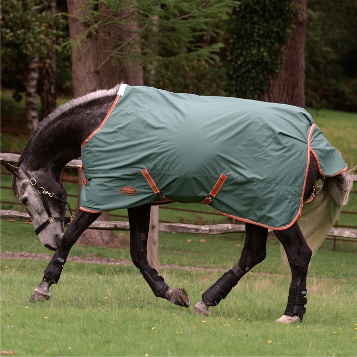 2023 Weatherbeeta Comfitec Tyro Combo Neck Medium Turnout Rug 1021798 - Green / Burnt Orange / White 4 2023 Weatherbeeta Comfitec Tyro Combo Neck Medium Turnout Rug 1021798 - Green / Burnt Orange / White - Image 2