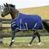2022 Weatherbeeta Comfitec Essential Lite Standard Neck Turnout Rug - Navy / Silver 1 2022 Weatherbeeta Comfitec Essential Lite Standard Neck Turnout Rug - Navy / Silver -Weatherbeeta Shop 83 1.700x700