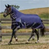 2022 Weatherbeeta Comfitec Essential Lite Combo Neck Turnout Rug - Navy / Silver Colour Navy/Silver 1 2022 Weatherbeeta Comfitec Essential Lite Combo Neck Turnout Rug - Navy / Silver Colour Navy/Silver -Weatherbeeta Shop 843 1.700x700