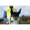 Weatherbeeta Reflective Ear Bonnet Yellow 1004917 Colour Yellow
