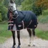 WeatherBeeta ComFiTec Premier With Therapy-Tec Detach-A-Neck Lite Plus Turnout Rug 10062120 - Black / Silver / Red 2 WeatherBeeta ComFiTec Premier With Therapy-Tec Detach-A-Neck Lite Plus Turnout Rug 10062120 - Black / Silver / Red -Weatherbeeta Shop WeatherBeeta20ComFiTec20Premier20With20Therapy Tec20Detach A Neck20Lite20Plus201006212020 20Black20Silver20Red201.700x700