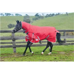 Weatherbeeta Comfitec Classic Heavy Combo Neck Rug - Red / Silver 5 Weatherbeeta Comfitec Classic Heavy Combo Neck Rug - Red / Silver -Weatherbeeta Shop Weatherbeeta Comfitec Classic Combo Neck Heavy Red.700x700