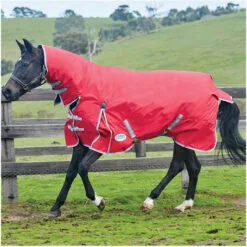 Weatherbeeta Shop 24 2022 Weatherbeeta Comfitec Classic Lite Combo Neck Turnout Rug - Red / Silver Colour Red/Silver