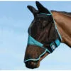 Weatherbeeta Comfitec Fine Mesh Mask With Ears & Nose - Black / Turquoise Colour Black/Turquoise -Weatherbeeta Shop Weatherbeeta Comfitec Fine Mesh Mask With Ears Nose BlackTurquoise.700x700