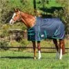Weatherbeeta Comfitec Classic Medium Standard Neck Rug - Black / Green