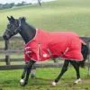 2022 Weatherbeeta Comfitec Classic Medium-Lite Standard Neck Turnout Rug - Red / Silver 2 2022 Weatherbeeta Comfitec Classic Medium-Lite Standard Neck Turnout Rug - Red / Silver -Weatherbeeta Shop Weatherbeeta20Comfitec20Classic20Standard20Neck20Medium20Lite20100940220 20Red.700x700