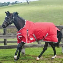 2022 Weatherbeeta Comfitec Classic Medium-Lite Standard Neck Turnout Rug - Red / Silver