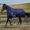 Weatherbeeta Comfitec Essential Medium Combo Neck Rug - Navy / Silver -Weatherbeeta Shop Weatherbeeta20Comfitec20Essential20Combo20Neck20Medium20Navy20Silver20Red20 20front.700x700