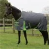 Weatherbeeta Comfitec Essential Medium Standard Neck Rug - Grey / Lime Colour Grey/Lime -Weatherbeeta Shop Weatherbeeta20Comfitec20Essential20Standard20Neck20Medium20100041720 20Grey.700x700