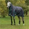 Weatherbeeta Comfitec Plus Dynamic II Medium-Lite Combo Neck Rug - Black / Aqua Colour Black/Aqua -Weatherbeeta Shop Weatherbeeta20Comfitec20Plus20Dynamic20II20Combo20Neck20Medium20Lite20100691220 20Black.700x700
