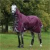 Weatherbeeta Comfitec Plus Dynamic II Medium-Lite Combo Neck Rug - Maroon / Grey Colour Grey/Maroon -Weatherbeeta Shop Weatherbeeta20Comfitec20Plus20Dynamic20II20Combo20Neck20Medium20Lite20100691220 20Maroon.700x700