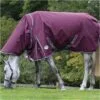 2023 Weatherbeeta Comfitec Plus Dynamic II Detach-A-Neck Medium Turnout Rug 10069170 - Maroon / Grey / White Colour Grey/White/Maroon 1 2023 Weatherbeeta Comfitec Plus Dynamic II Detach-A-Neck Medium Turnout Rug 10069170 - Maroon / Grey / White Colour Grey/White/Maroon -Weatherbeeta Shop Weatherbeeta20Comfitec20Plus20Dynamic20II20Detach A Neck20Medium20100691720 20Maroon.700x700