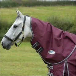 Weatherbeeta Comfitec Plus Dynamic II Medium-Lite Neck Rug - Maroon / Grey