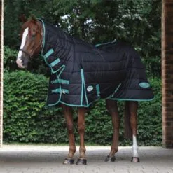 Weatherbeeta Green-Tec Medium-Lite Combo Neck Rug - Black / Green