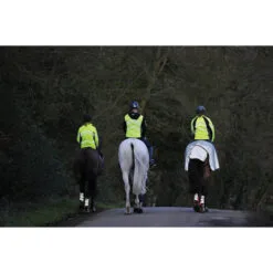 2022 Weatherbeeta Reflective Wrap Around Exercise Sheet 1004324 - Silver / Black -Weatherbeeta Shop Weatherbeeta20Reflective20Wrap20Around20Exercise20Sheet20Silver20Black201004324 lifestyle.700x700