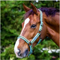 2022 Weatherbeeta Cooordinate Headcollar 1002094012 - Blue / Black / Yellow