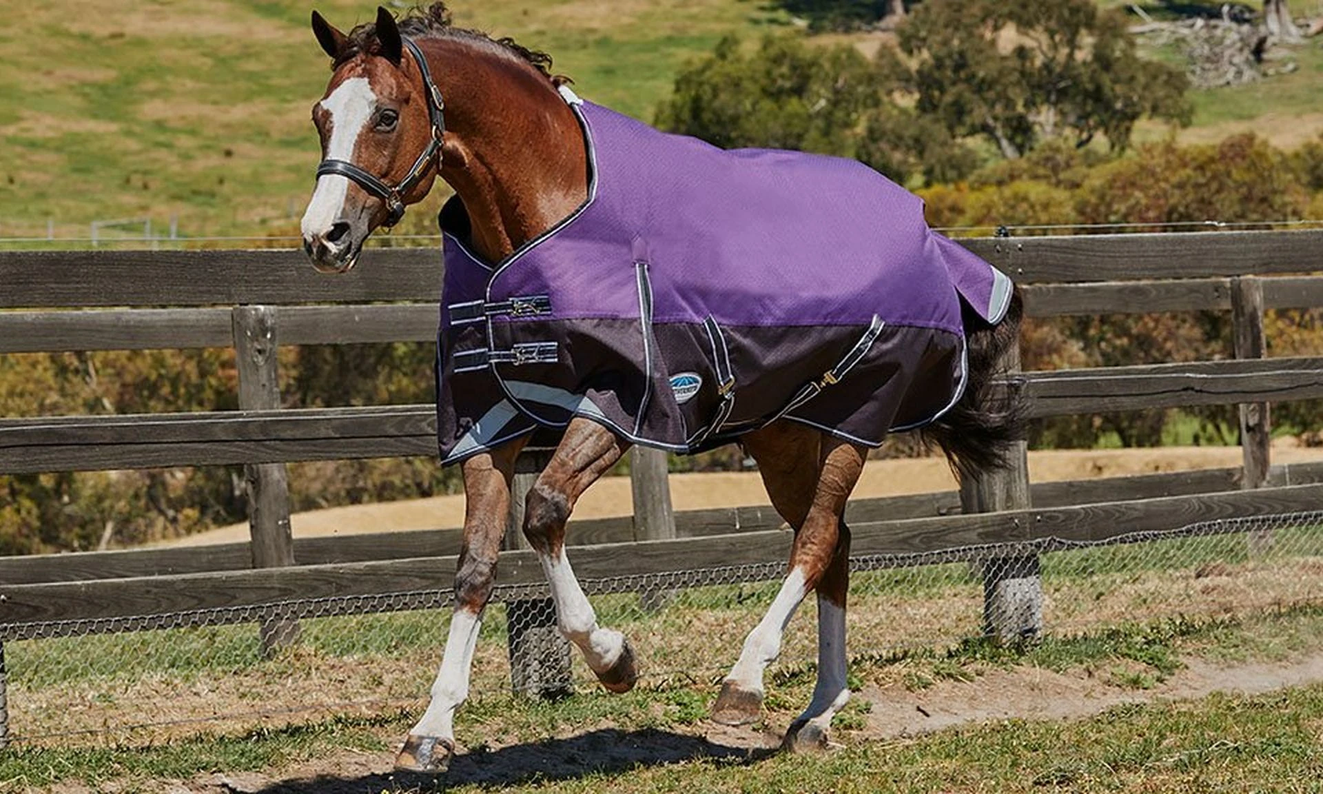 Weatherbeeta Shop 27 Weatherbeeta Shop -Weatherbeeta Shop Weatherbeetaqqqq