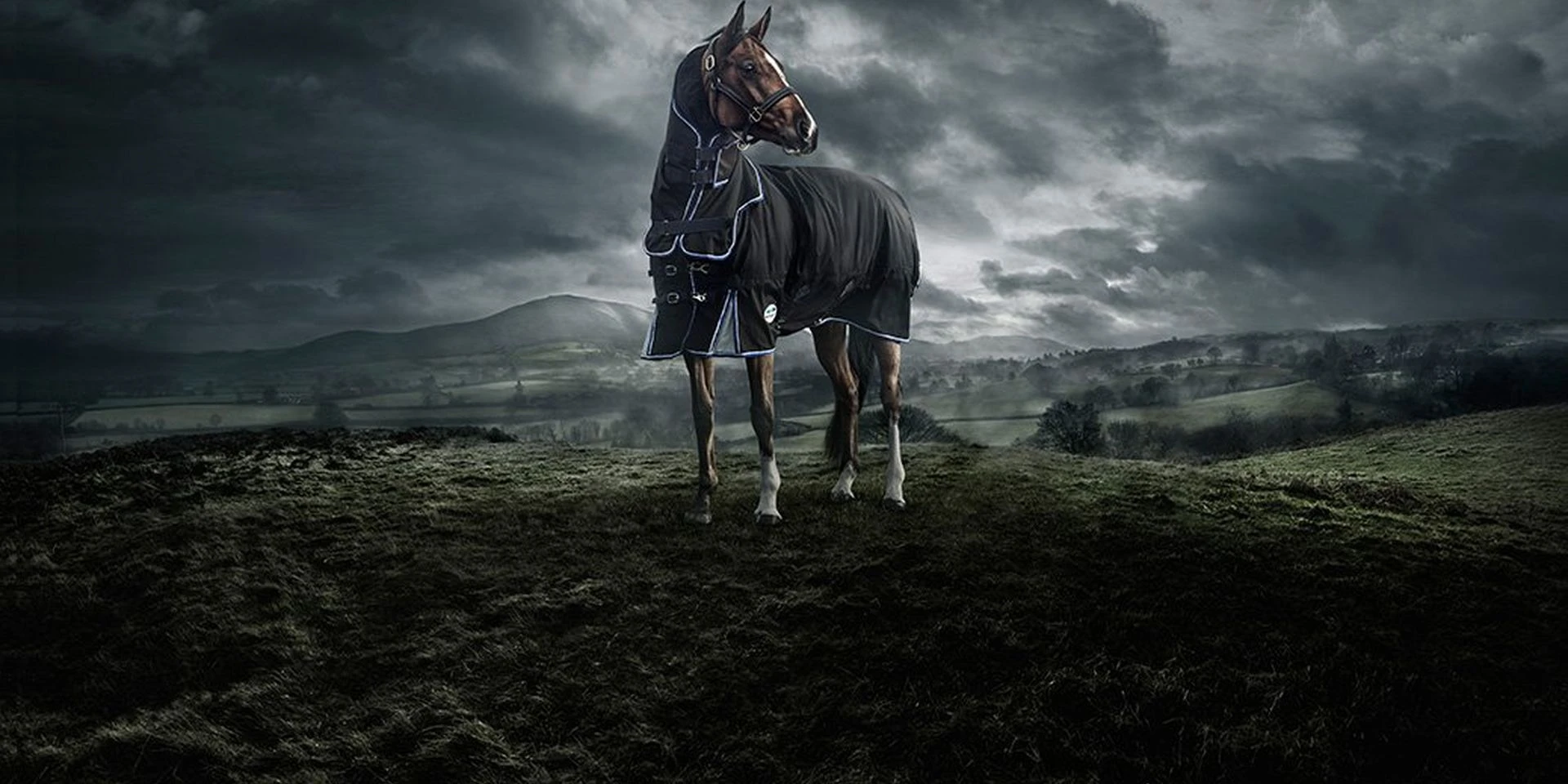 Weatherbeeta Shop -Weatherbeeta Shop Weatherbeetart